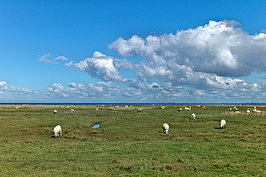 Wolken (1v9)_t.jpg